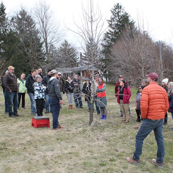 March 29th Grafting Workshop - Image 2